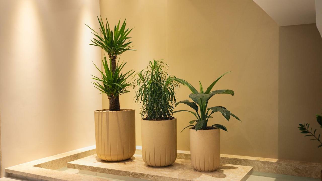 סינופ Vie Hotel מראה חיצוני תמונה